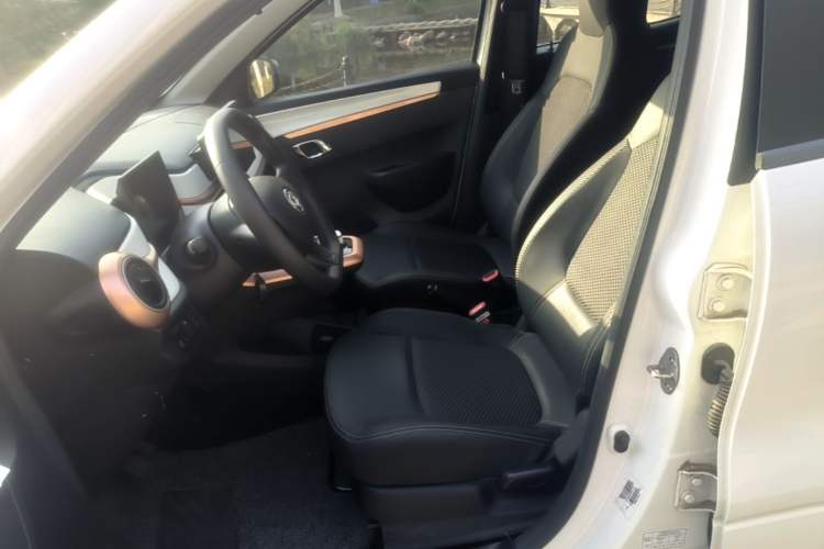 Used Dongfeng NAMMI EX1 2023 PRO Light Wind Edition Lightning Model Left Front Seat
