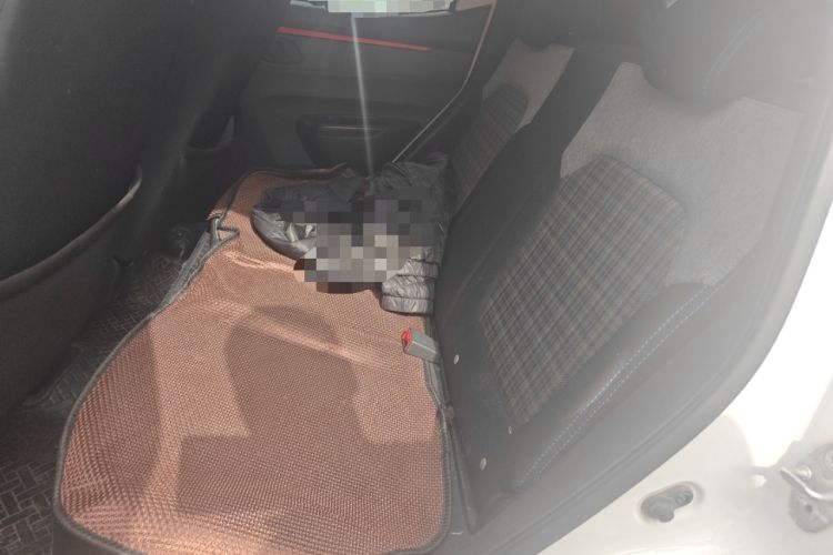 Used Dongfeng NAMMI EX1 2023 PRO Light Wind Edition Lightning Model Left Rear Seat