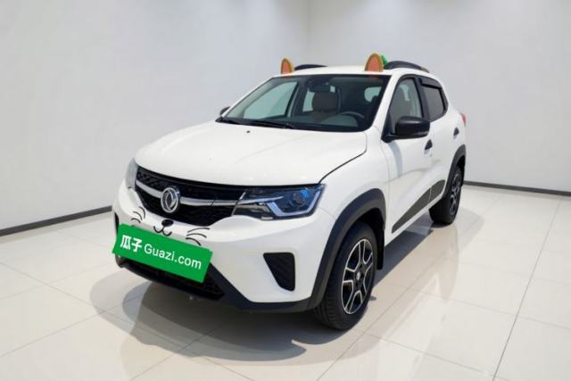 Dongfeng NAMMI EX1 2023 PRO Light Wind Edition Lightning Model usado