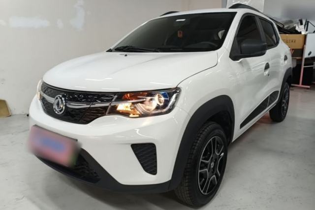 Used Dongfeng NAMMI EX1 2023 PRO Light Wind Edition Lightning Model