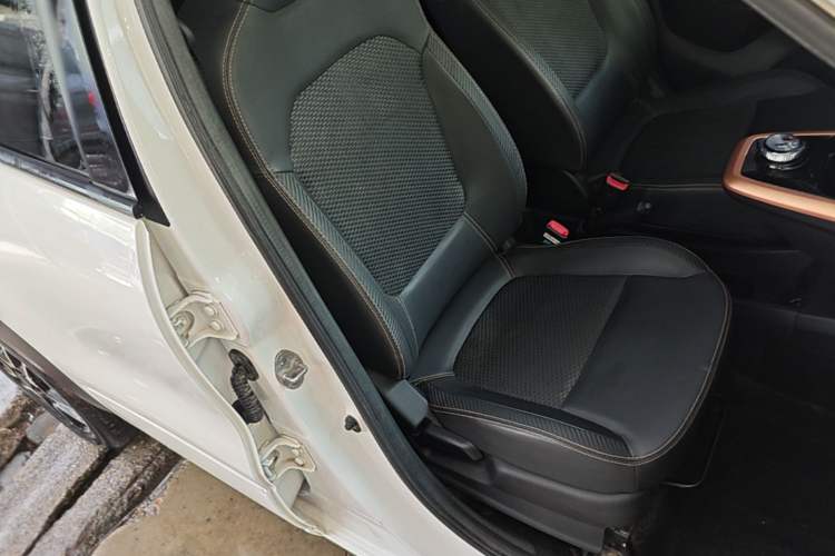 Used Dongfeng NAMMI EX1 2023 PRO Light Wind Edition Lightning Model Right Front Seat