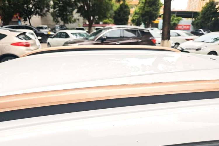 Used Dongfeng NAMMI EX1 2023 PRO Light Wind Edition Lightning Model Roof