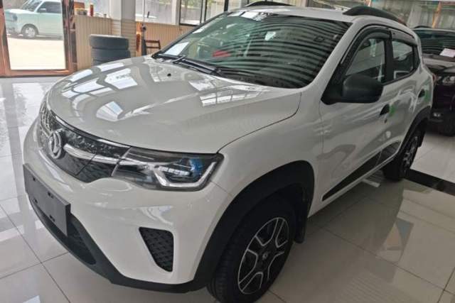 Used Dongfeng NAMMI EX1 2023 PRO Light Wind Edition Lightning Model