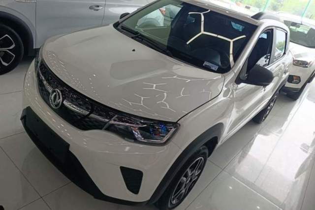 Used Dongfeng NAMMI EX1 2023 PRO Light Wind Edition Lightning Model