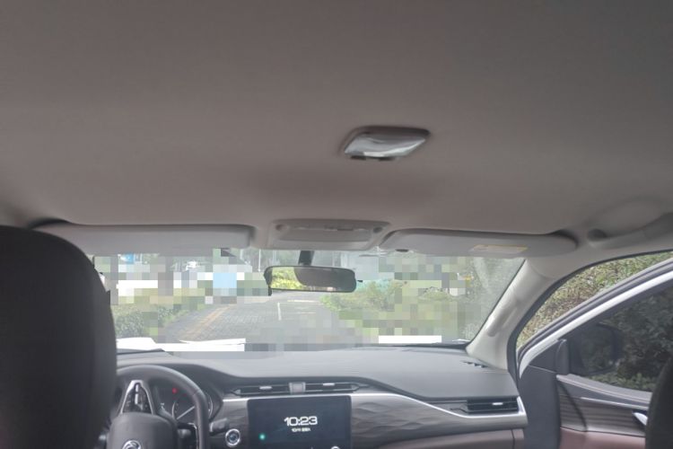 Used Dongfeng Palazzo 2022 2.0T Automatic All-Wheel Drive Zunya Trim Headliner