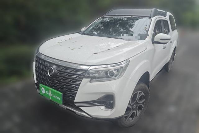 Used Dongfeng Palazzo 2022 2.0T Automatic All-Wheel Drive Zunya Trim