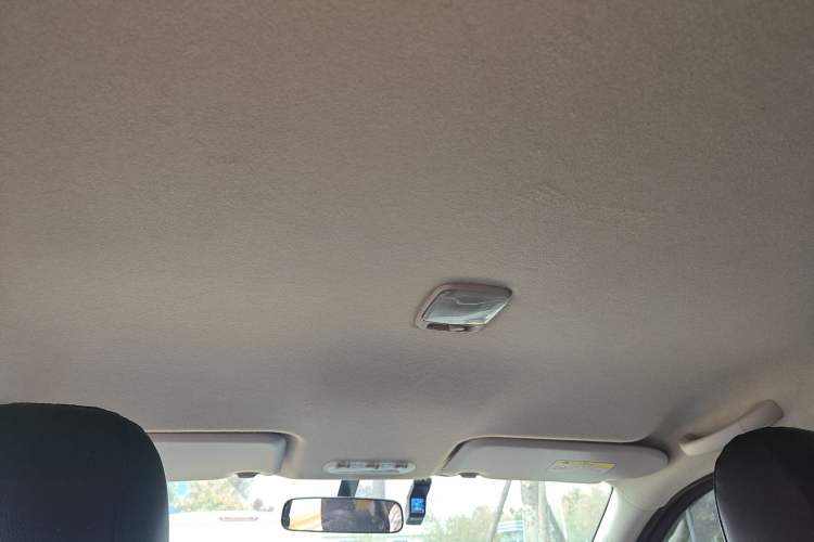 Used Dongfeng Palazzo 2021 1.8T Manual Two-Wheel Drive Elite Edition Headliner