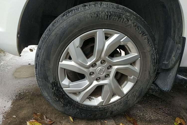 Used Dongfeng Palazzo 2021 1.8T Manual 4x4 Elite Edition Exterior 2