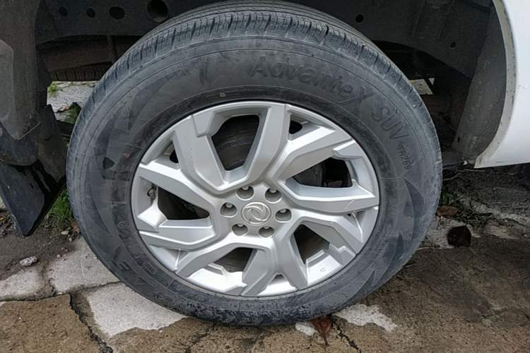 Used Dongfeng Palazzo 2021 1.8T Manual 4x4 Elite Edition Exterior 3