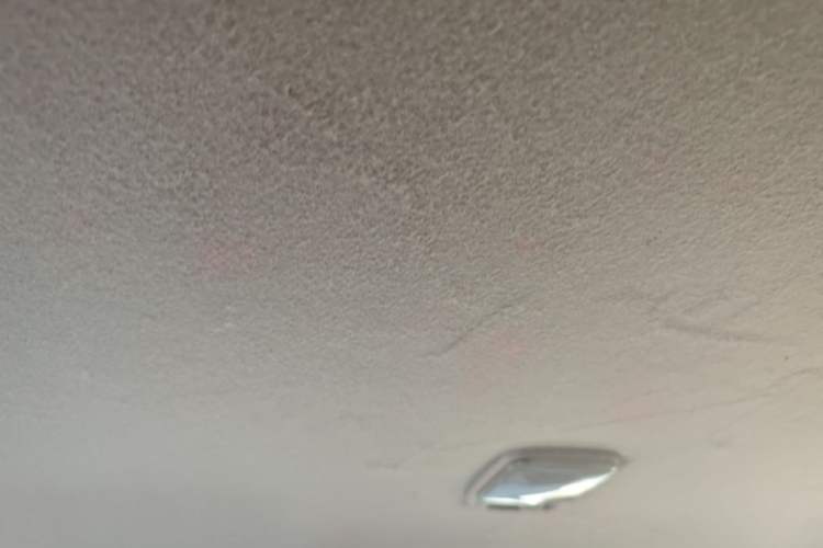 Used Dongfeng Palazzo 2021 1.8T Manual 4x4 Elite Edition Headliner