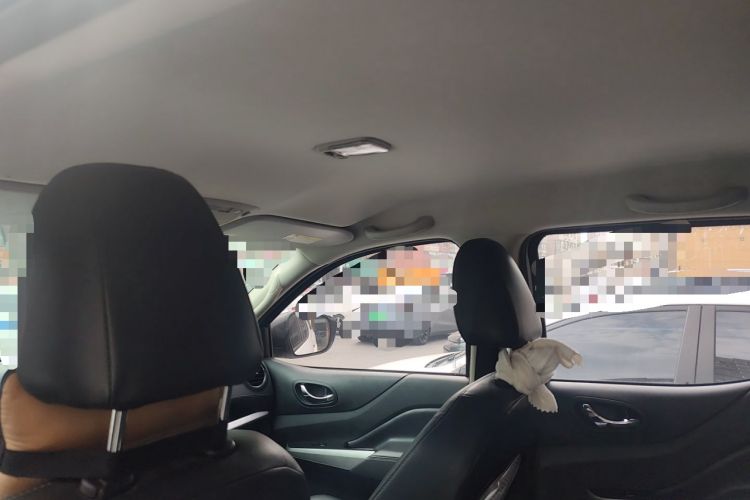 Used Dongfeng Palazzo 2021 1.8T Manual 4x4 Elite Edition Headliner
