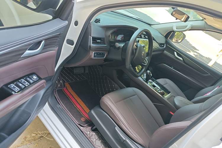 Used Dongfeng Palazzo 2022 2.0T Automatic All-Wheel Drive Zunya Trim Driver Seat