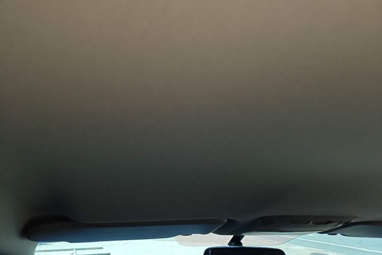 Used Dongfeng Palazzo 2022 2.0T Automatic All-Wheel Drive Zunya Trim Headliner