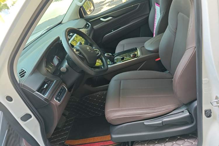 Used Dongfeng Palazzo 2022 2.0T Automatic All-Wheel Drive Zunya Trim Left Front Seat