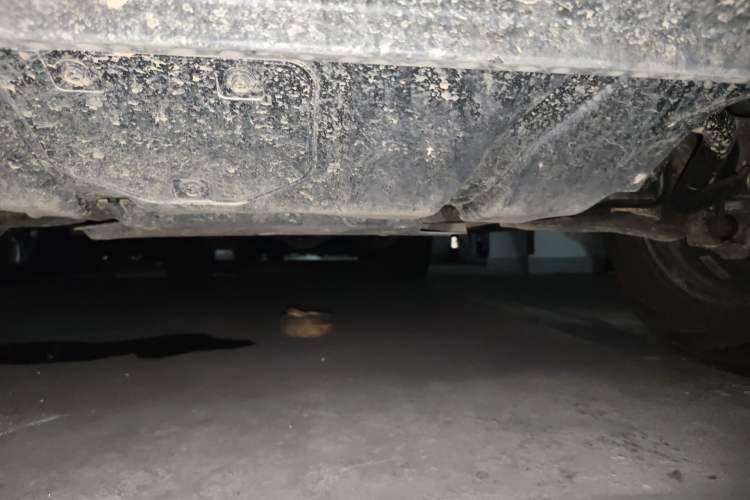 Used Dongfeng Palazzo 2023 2.0T Automatic All-Wheel Drive Prestige Version Chassis Front