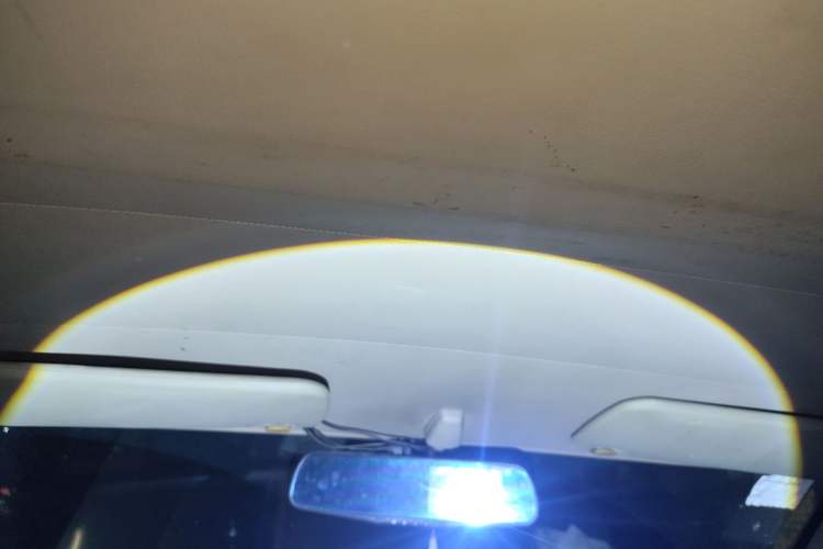 Used Dongfeng Ruichi 2010 3.0T Diesel Two-Wheel Drive Standard Version ZD30D13-3N Headliner