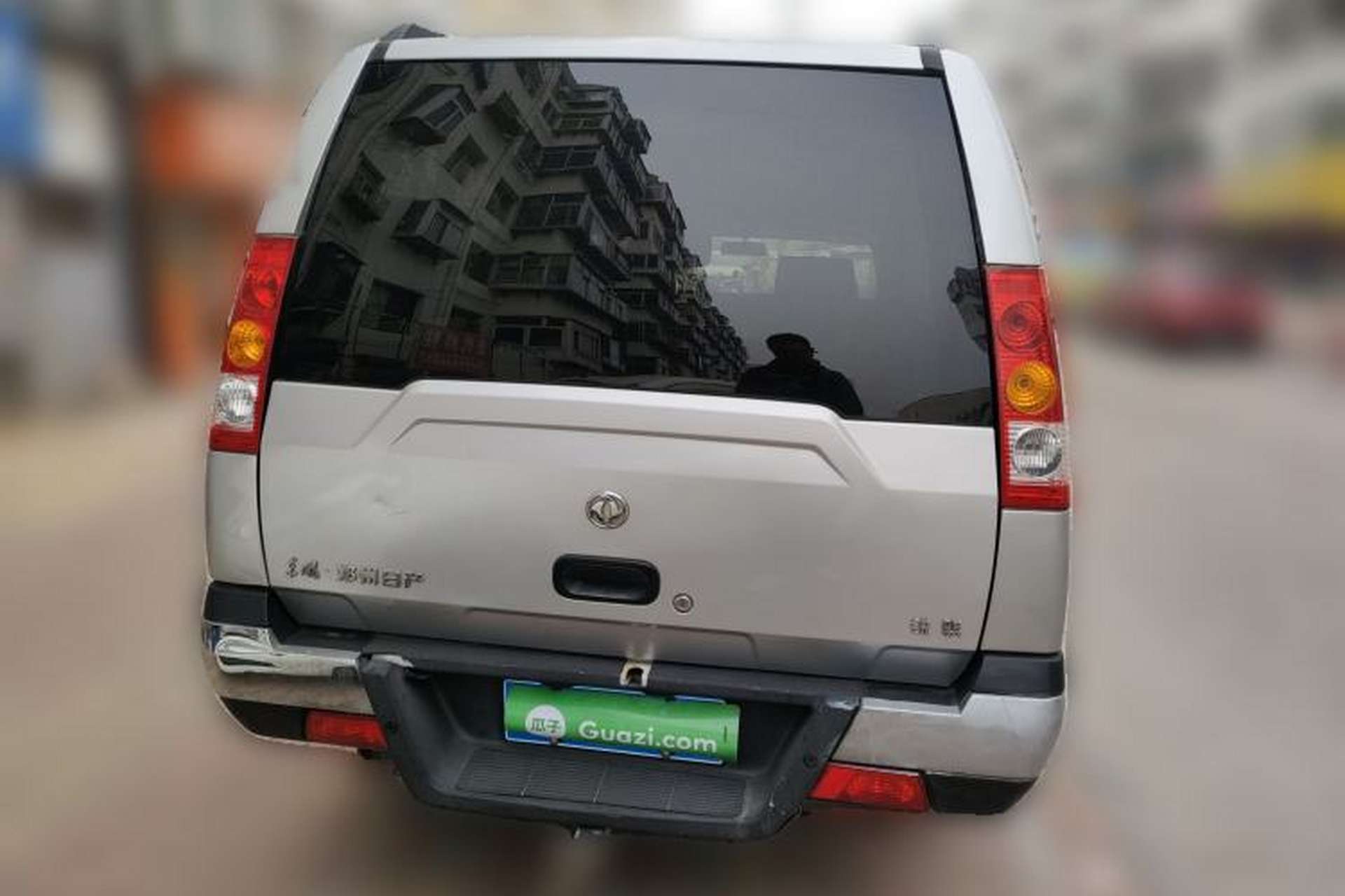 Used Dongfeng Ruichi 2010 2.4L Gasoline 4x4 Standard Version ZG24 Rear