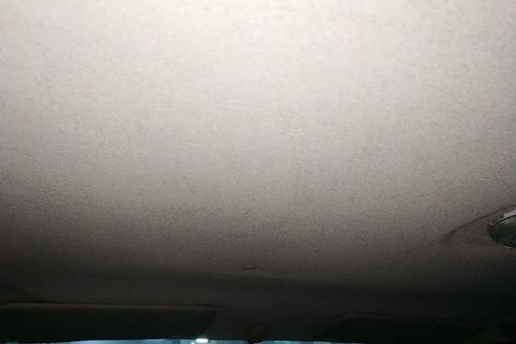 Used Dongfeng Ruichi 2013 2.2T Diesel Two-Wheel Drive Standard Version ZD22TE Headliner