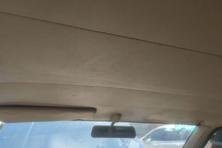 Used Dongfeng Ruichi 2013 2.4L Gasoline 4x4 Standard Edition ZG24 Headliner