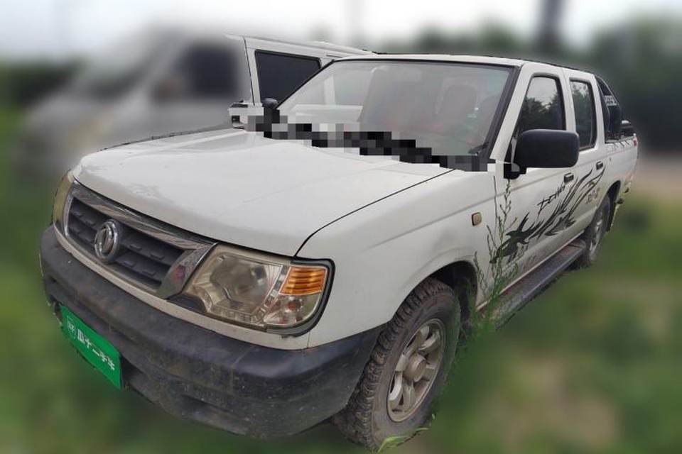 Dongfeng Ruichi 2013