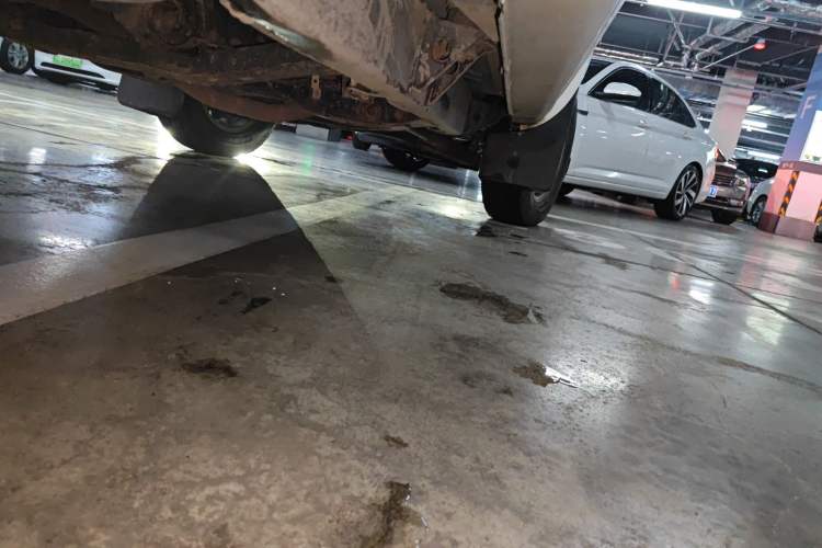 Used Dongfeng Ruichi 2015 2.4L Elite Edition Gasoline 4x4 Standard Trim ZG24 Chassis Rear Right