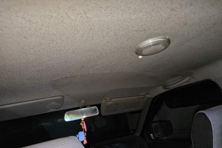 Used Dongfeng Ruichi 2016 2.5T Diesel 2WD ZD25TCI Headliner