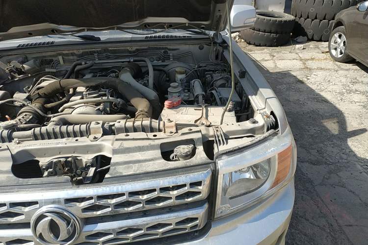 Used Dongfeng Ruichi 2017 2.5T Diesel Two-Wheel Drive Standard Version with Long Cargo Bed – ZD25T5 Engine Bay Left