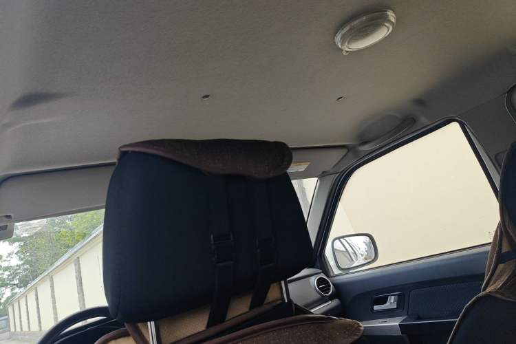 Used Dongfeng Ruichi 2018 2.4L Gasoline 4x4 Standard Version ZG24 Headliner