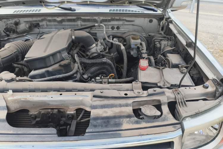 Used Dongfeng Ruichi 2019 2.4L Gasoline China VI Standard Two-Wheel-Drive Long Cargo Bed 2TZD Engine Bay Left