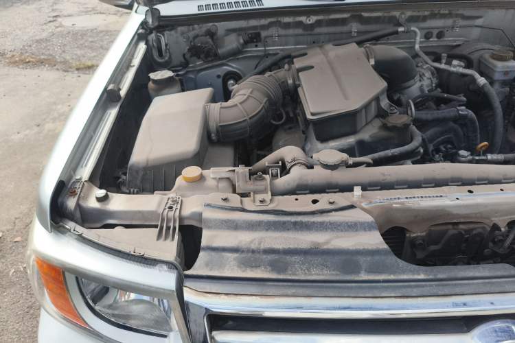 Used Dongfeng Ruichi 2019 2.4L Gasoline China VI Standard Two-Wheel-Drive Long Cargo Bed 2TZD Engine Bay Right