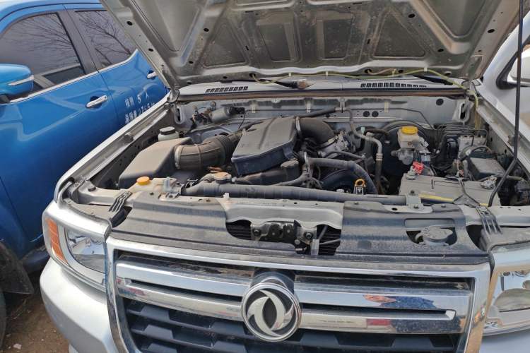 Used Dongfeng Ruichi 2019 2.4L Gasoline China VI Standard Two-Wheel-Drive Standard Cab 2TZD Engine Bay Right