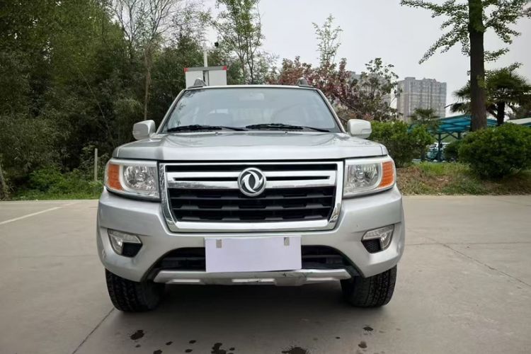 Used Dongfeng Ruichi 2019 2.4L Gasoline China VI Standard Two-Wheel Drive Luxury Regular Cab 2TZD Exterior 1