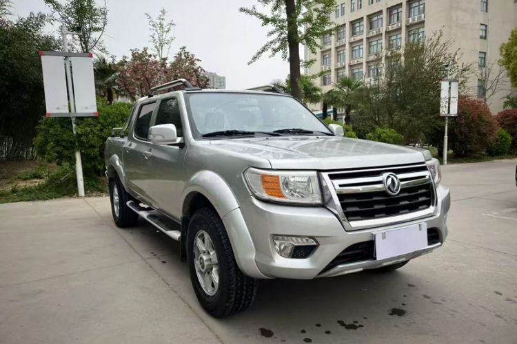 Used Dongfeng Ruichi 2019 2.4L Gasoline China VI Standard Two-Wheel Drive Luxury Regular Cab 2TZD Exterior 2