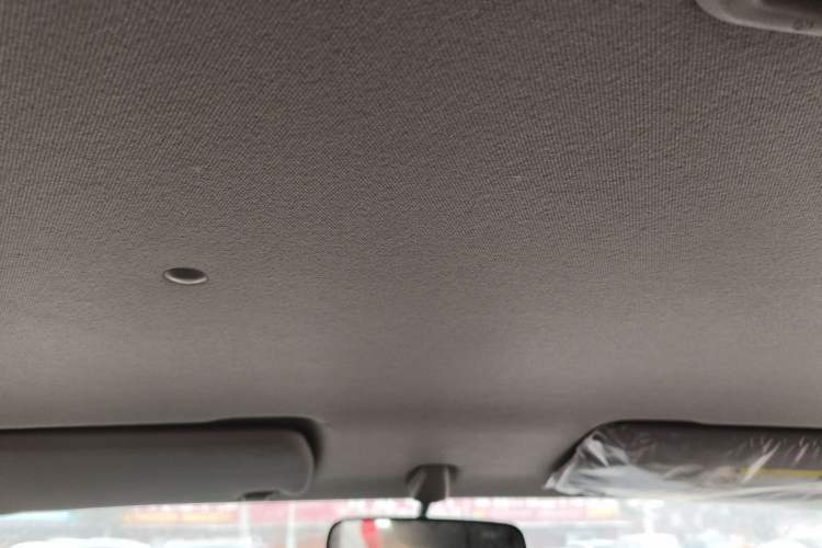 Used Dongfeng Ruichi 2021 2.4L Gasoline Two-Wheel-Drive Base Version with Long Cargo Bed 2TZD Headliner