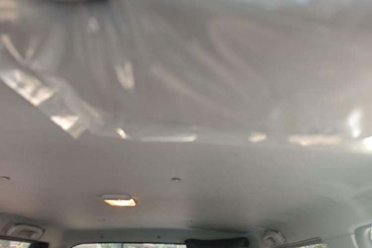 Used Dongfeng Ruichi 2021 2.4L Gasoline Two-Wheel-Drive Base Version with Long Cargo Bed 2TZD Headliner