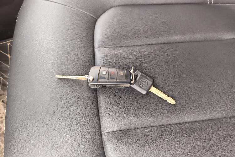 Used Dongfeng Ruichi 2021 2.4L Gasoline Two-Wheel-Drive Base Version with Long Cargo Bed 2TZD Vehicle Key