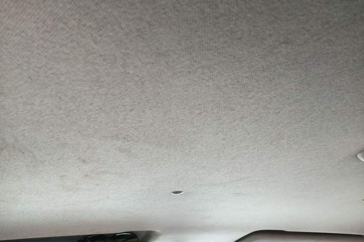 Used Dongfeng Ruichi 2021 2.4T Diesel 4x4 Base Version YCY24165-61 Headliner