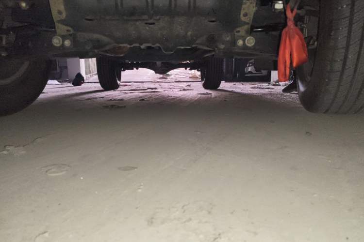 Used Dongfeng Ruichi 2023 2.4L Gasoline Two-Wheel-Drive Base Model for Entrepreneurship Model 2TZH Chassis Front