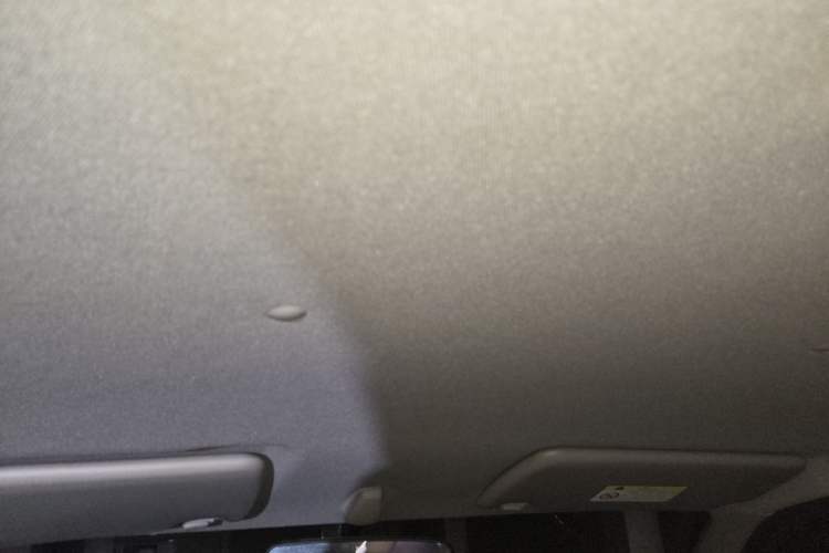 Used Dongfeng Ruichi 2023 2.4L Gasoline Two-Wheel-Drive Base Model for Entrepreneurship Model 2TZH Headliner