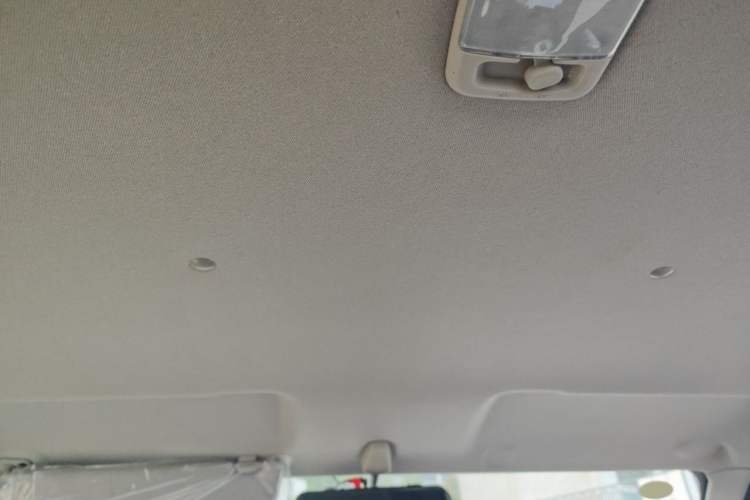 Used Dongfeng Ruichi 2025 Model 2.4L Gasoline Two-Wheel-Drive Entrepreneur Edition—Base Model Headliner