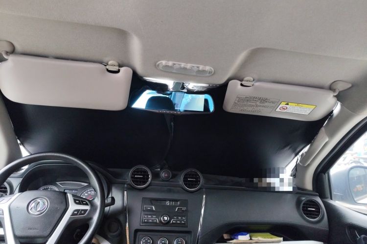 Used Dongfeng Ruichi 6 2020 2.3T Manual Two-Wheel Drive Diesel Standard Version China VI M9T Headliner