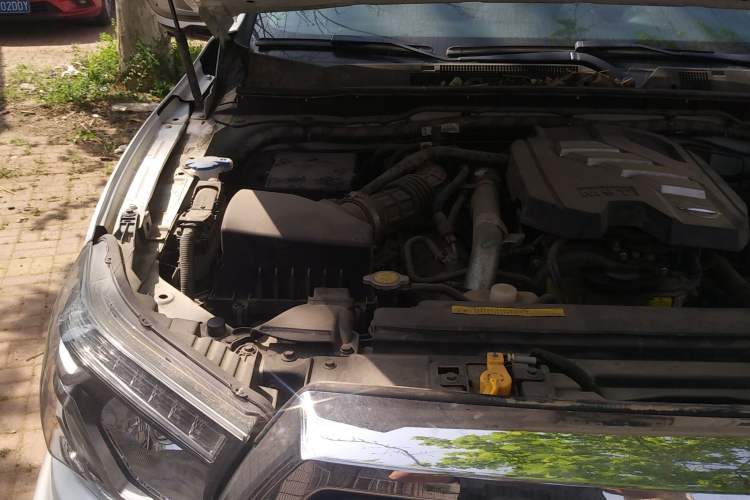 Used Dongfeng Ruichi 6 2020 2.3T Manual Two-Wheel Drive Diesel Standard Version China VI Emission Standard with Long Cargo Bed M9T Engine Bay Right