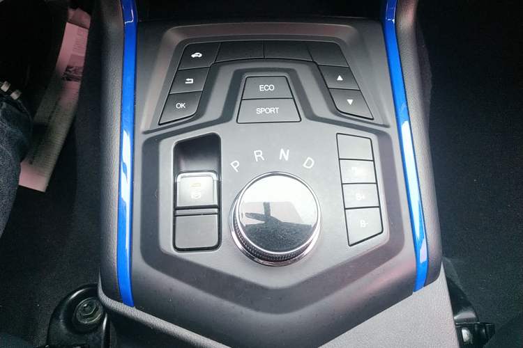 Used Dongfeng Ruichi 6 2020 EV model Gear Lever