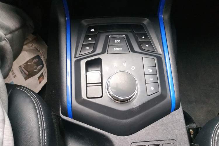 Used Dongfeng Ruichi 6 2020 EV model Gear Lever