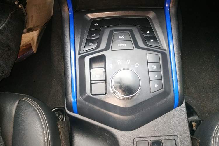 Used Dongfeng Ruichi 6 2020 EV model Gear Lever