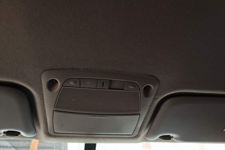 Used Dongfeng Ruichi 6 2020 EV model Headliner