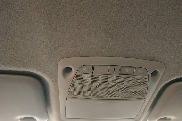 Used Dongfeng Ruichi 6 2020 EV model Headliner