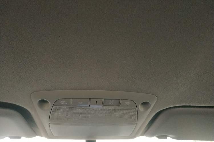 Used Dongfeng Ruichi 6 2020 EV model Headliner