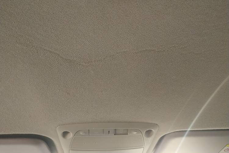 Used Dongfeng Ruichi 6 2020 EV model Headliner