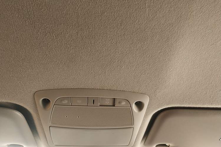 Used Dongfeng Ruichi 6 2020 EV model Headliner